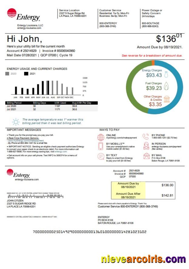 USA Louisiana Entergy utility bill version 2